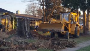 stump removals Harare